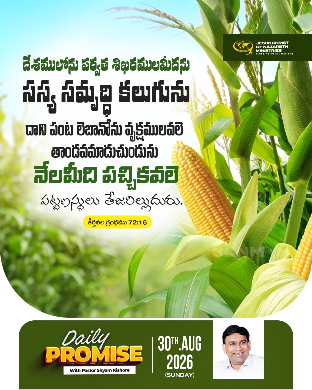 Daily Promise — 30 August 2026 (Telugu)